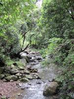 Natural Bridge - Creek from Cave (4 Jan 2007)